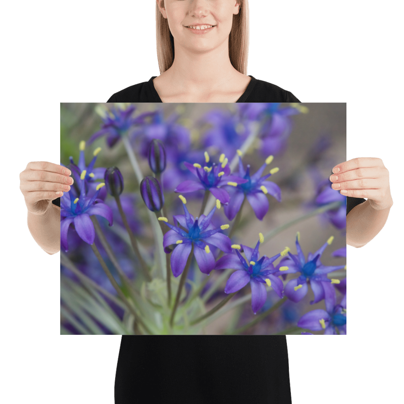 b8241b20-fca1-4135-813c-9cad9f8b30e9/583ba656-9e23-4643-83c7-405efe96e1a5.png