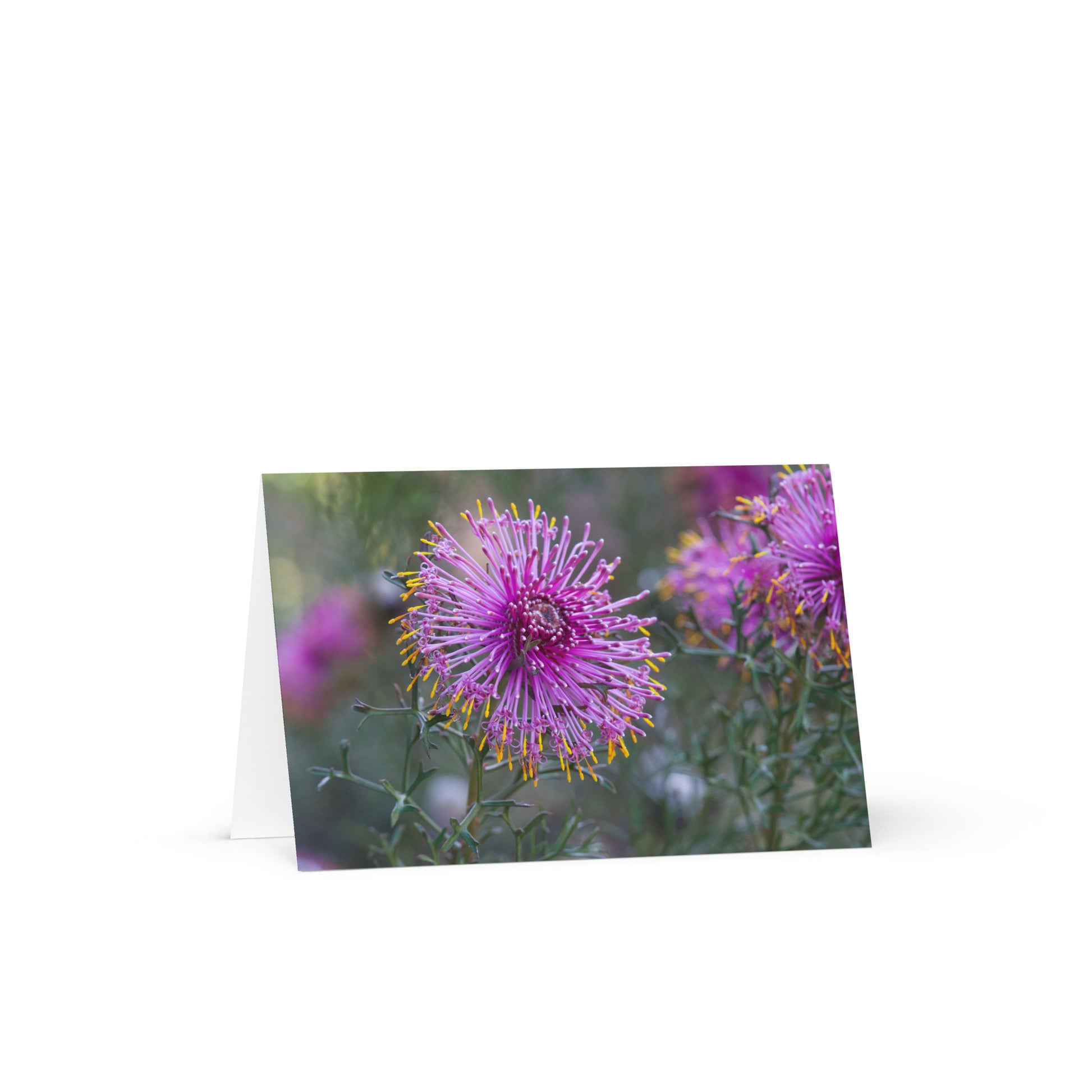 79edf615-8aff-4d2e-af33-0db013fea8aa/greeting-card-4x6-front-685349340075f.jpg