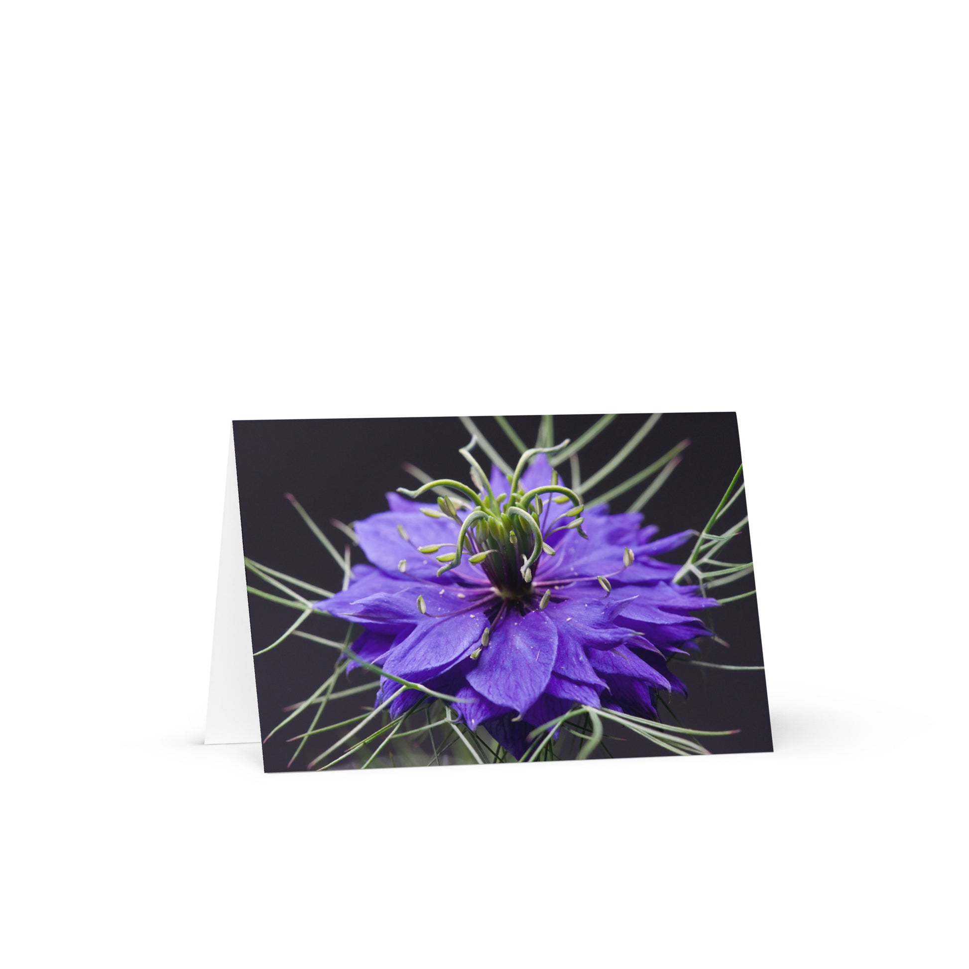 48a00be4-28de-404b-9e44-f0435f5466cb/greeting-card-4x6-front-68648f999f756.jpg