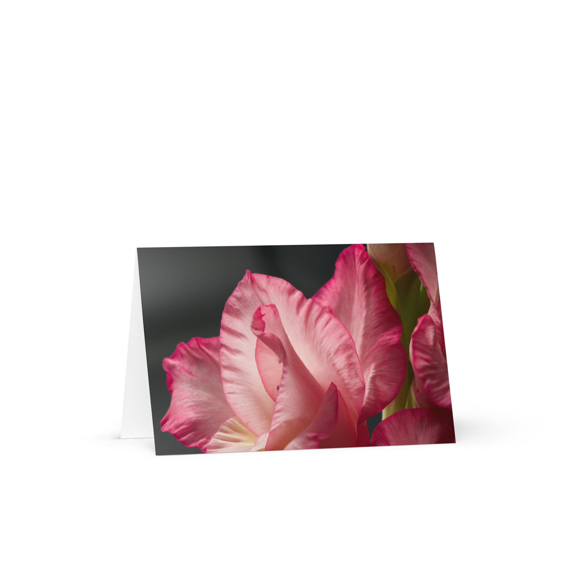 587d3637-8cd5-4710-a576-b56e8fce5f05/greeting-card-4x6-front-686def166fea1.jpg
