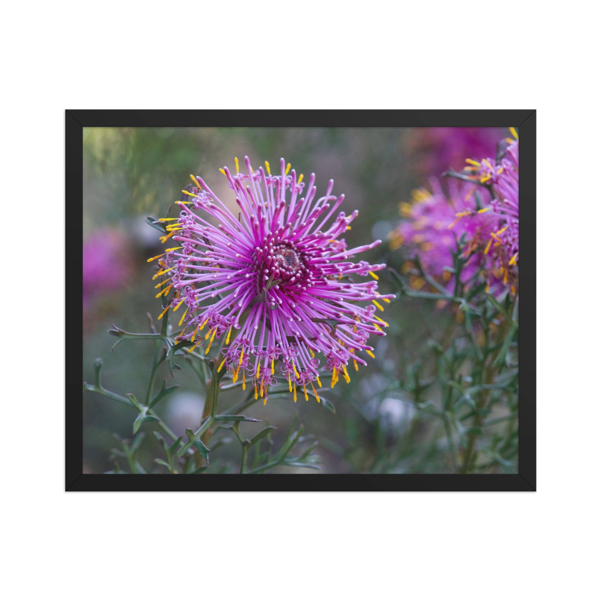 b721bdff-b37f-4ca6-9482-c7f220f9c127/premium-luster-photo-paper-framed-poster-_in_-black-16x20-front-6867117fb74ab.jpg