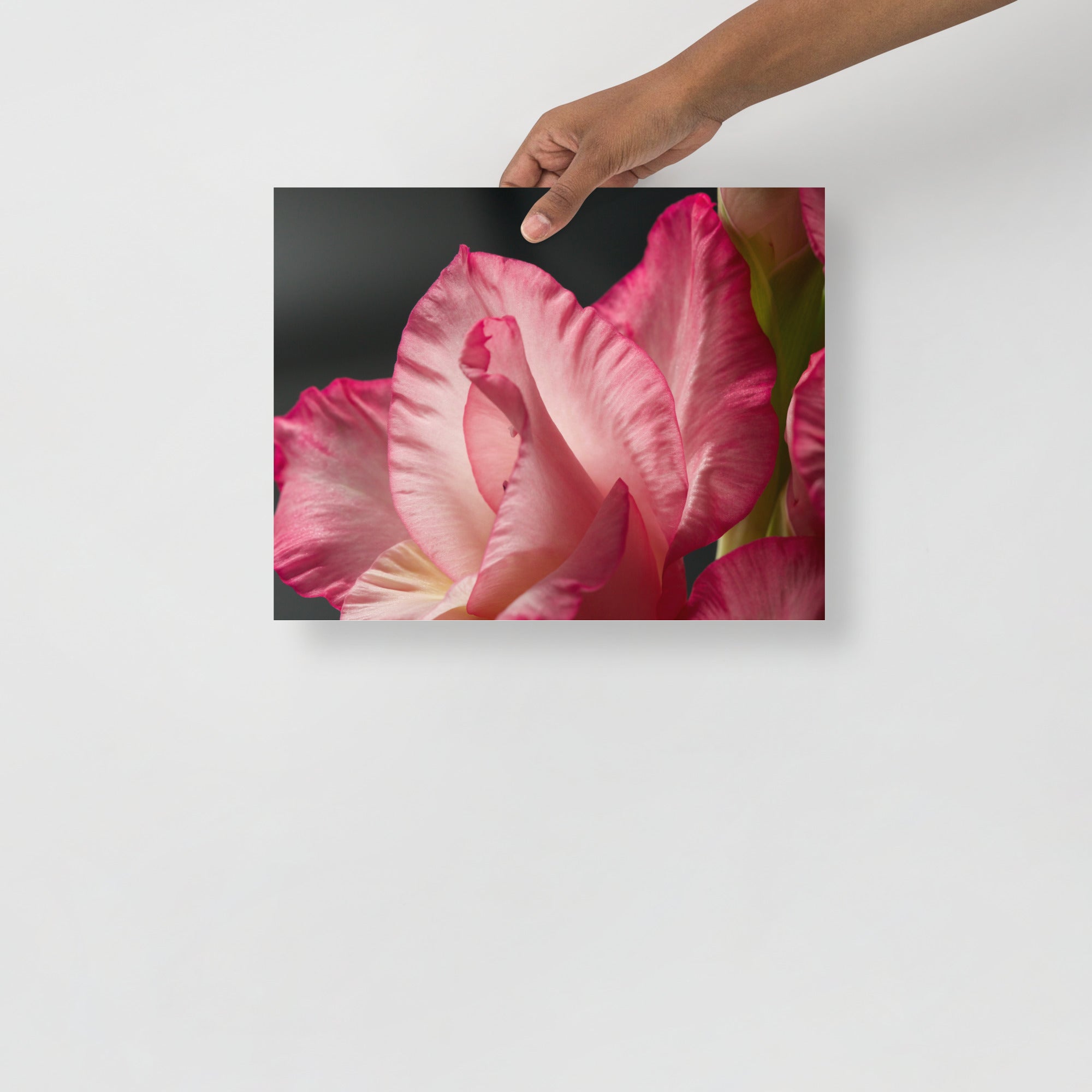 056bfa8c-3c3c-4489-8219-96e6d291a603/premium-luster-photo-paper-poster-_in_-11x14-front-686df0cd6c21b.jpg
